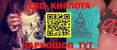 СК Донской