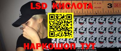 СК Донской