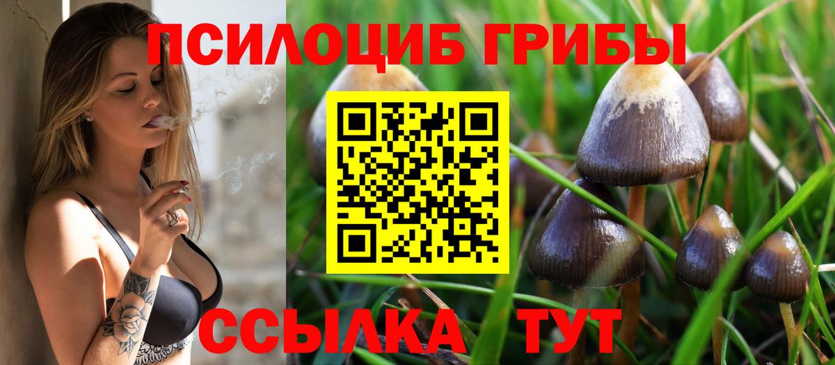 Галлюциногенные грибы ЛСД Кисловодск